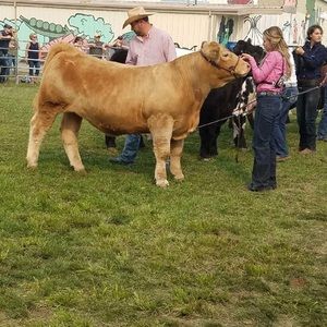 Meet your Posher, Baylee